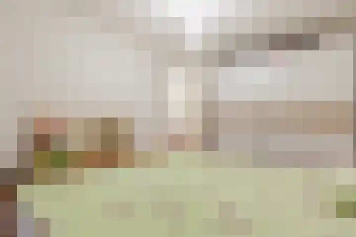 Plataanstraat 10 Echt thumbnail 28