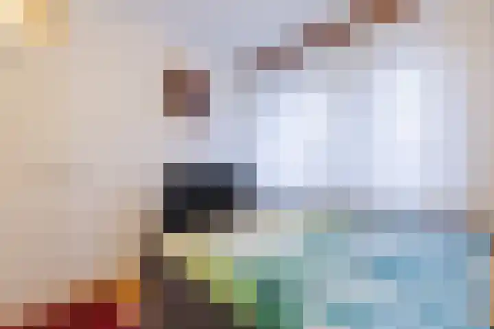 Plataanstraat 10 Echt thumbnail 30