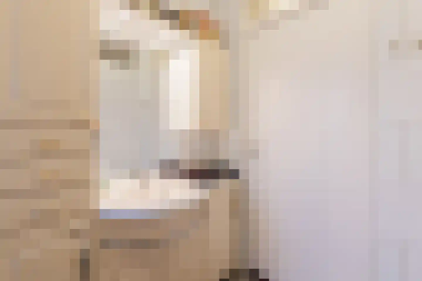 Plataanstraat 10 Echt thumbnail 33