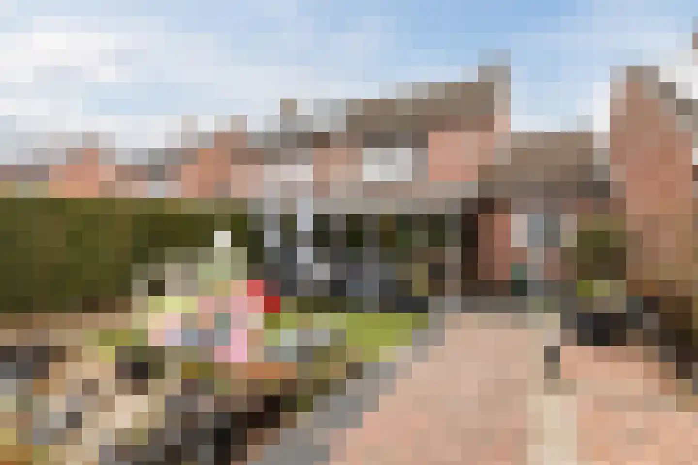 Plataanstraat 10 Echt thumbnail 41