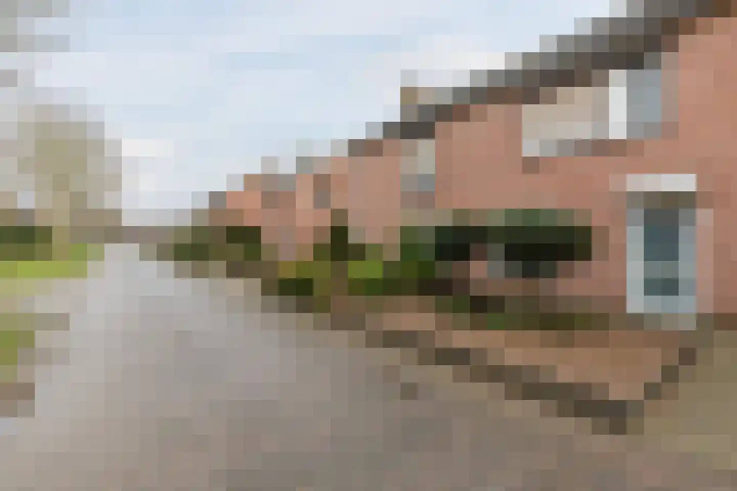 Plataanstraat 10 Echt thumbnail 43