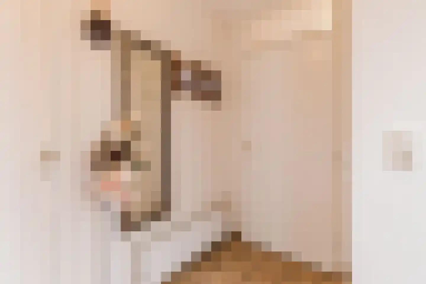 Plataanstraat 10 Echt thumbnail 7