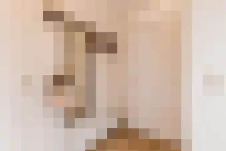 Plataanstraat 10 Echt thumbnail 7