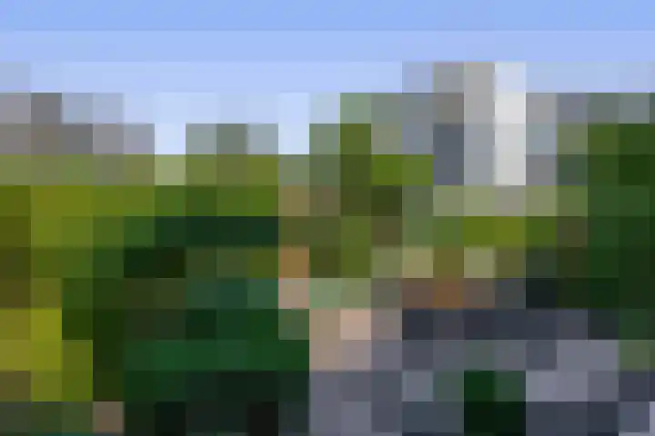 Plataanstraat 10 Gouda thumbnail 24