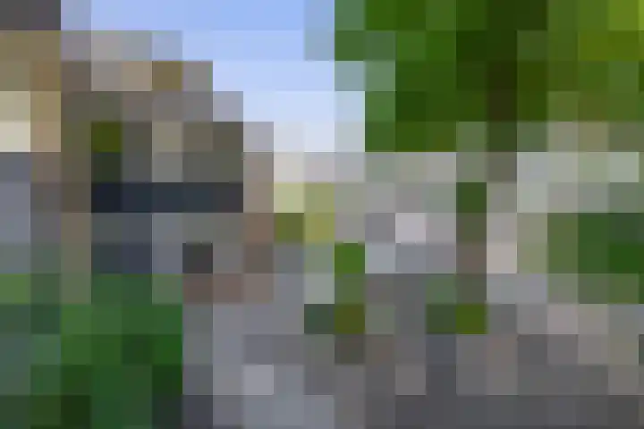 Plataanstraat 10 Gouda thumbnail 29
