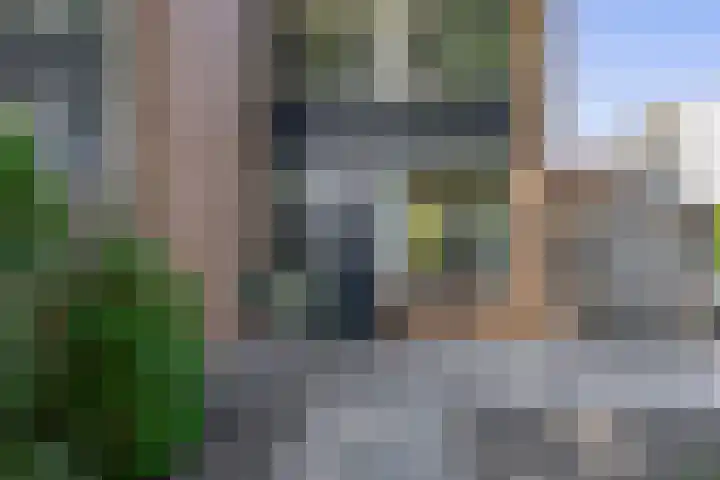 Plataanstraat 10 Gouda thumbnail 4