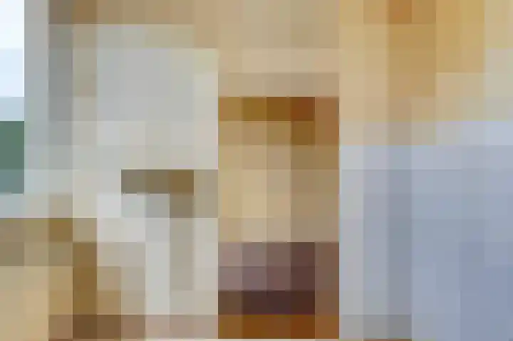 Plataanstraat 10 Nieuwerkerk thumbnail 11