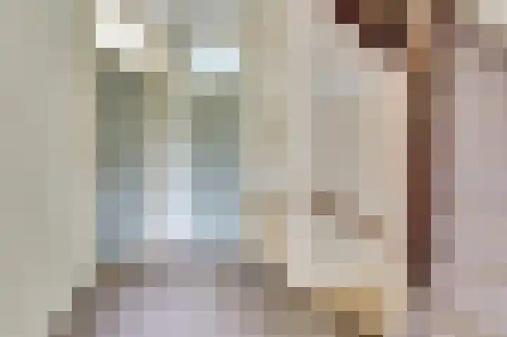 Plataanstraat 10 Nieuwerkerk thumbnail 12