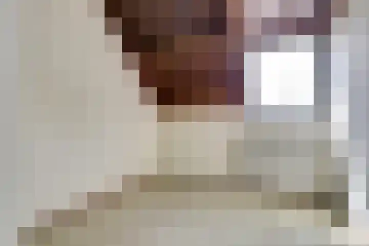 Plataanstraat 10 Nieuwerkerk thumbnail 13
