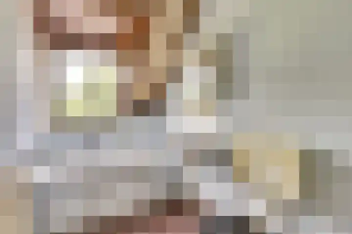 Plataanstraat 10 Nieuwerkerk thumbnail 19