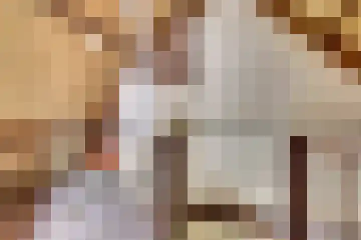 Plataanstraat 10 Nieuwerkerk thumbnail 21