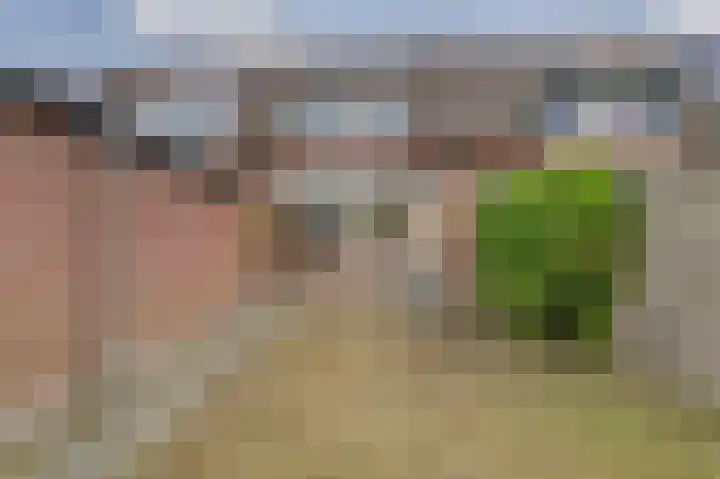 Plataanstraat 10 Nieuwerkerk thumbnail 27