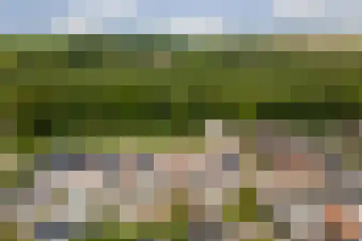Plataanstraat 10 Nieuwerkerk thumbnail 29