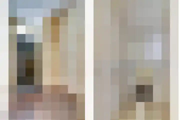 Plataanstraat 10 Nieuwerkerk thumbnail 4