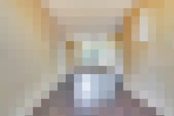 Plataanstraat 10 Nieuwerkerk thumbnail 5