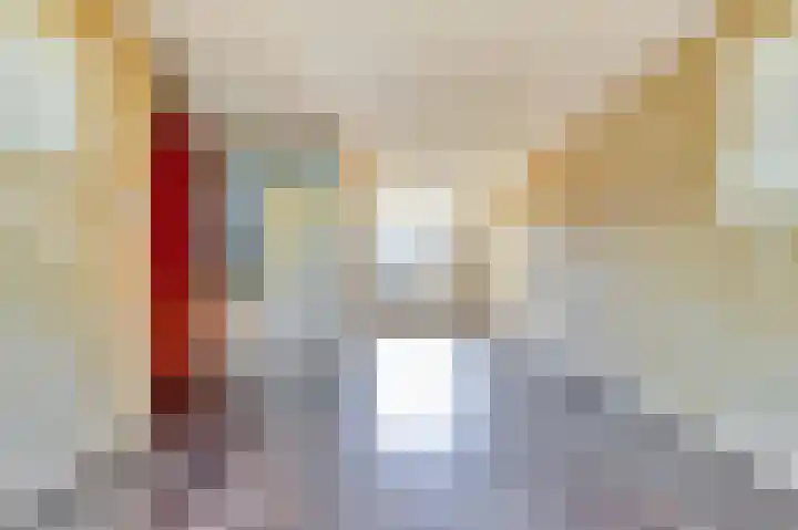 Plataanstraat 10 Nieuwerkerk thumbnail 6