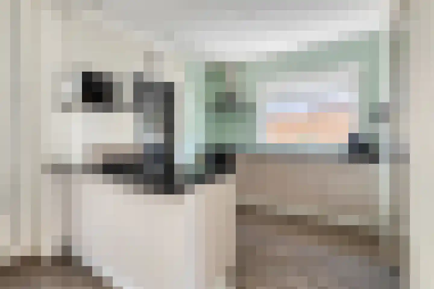 Plataanstraat 10 Sas van Gent thumbnail 11