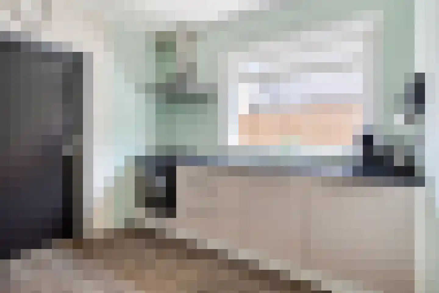 Plataanstraat 10 Sas van Gent thumbnail 12