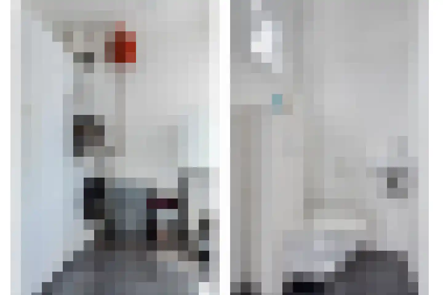Plataanstraat 10 Sas van Gent thumbnail 5