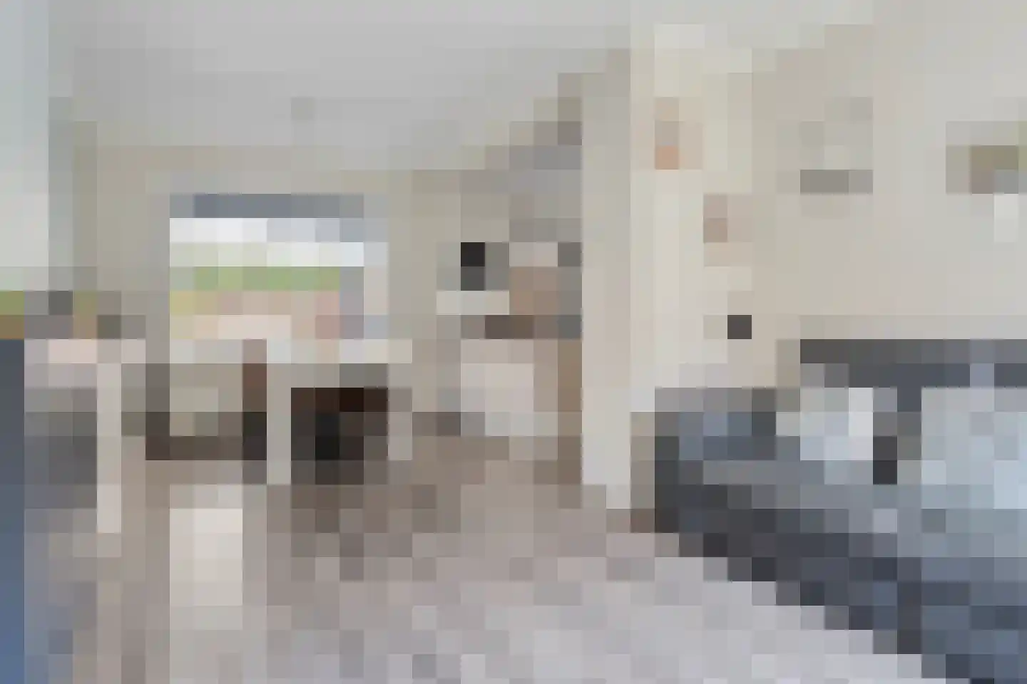 Plataanstraat 10 Sas van Gent thumbnail 8
