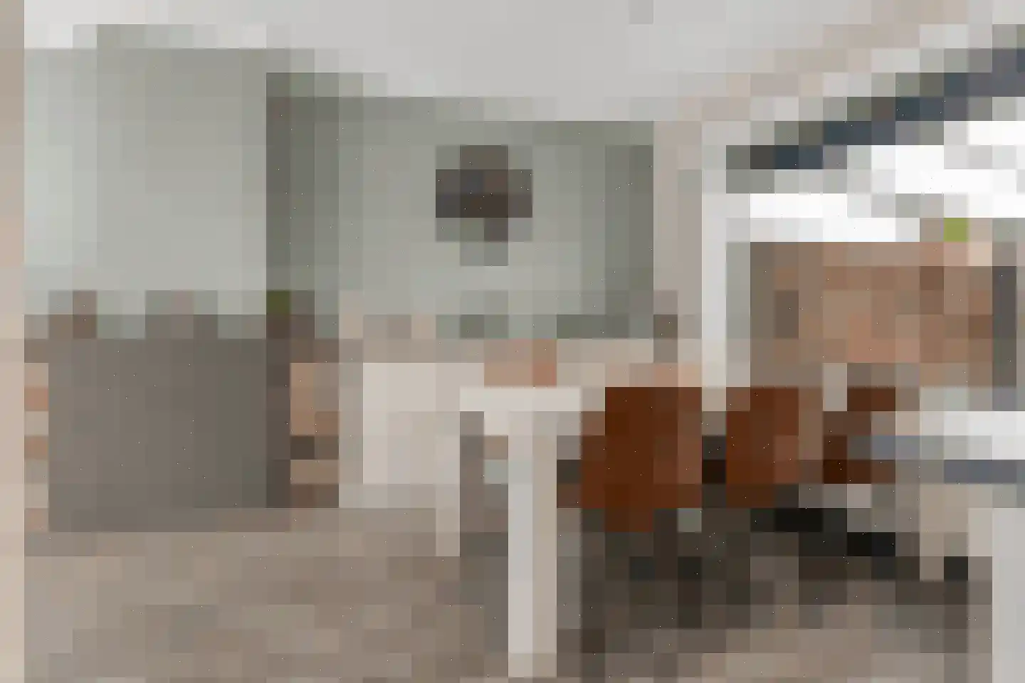 Plataanstraat 10 Sas van Gent thumbnail 9