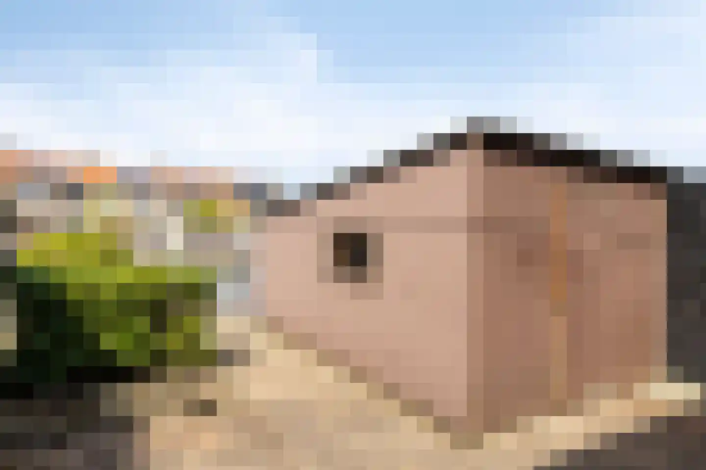 Plataanstraat 12 Beek thumbnail 20