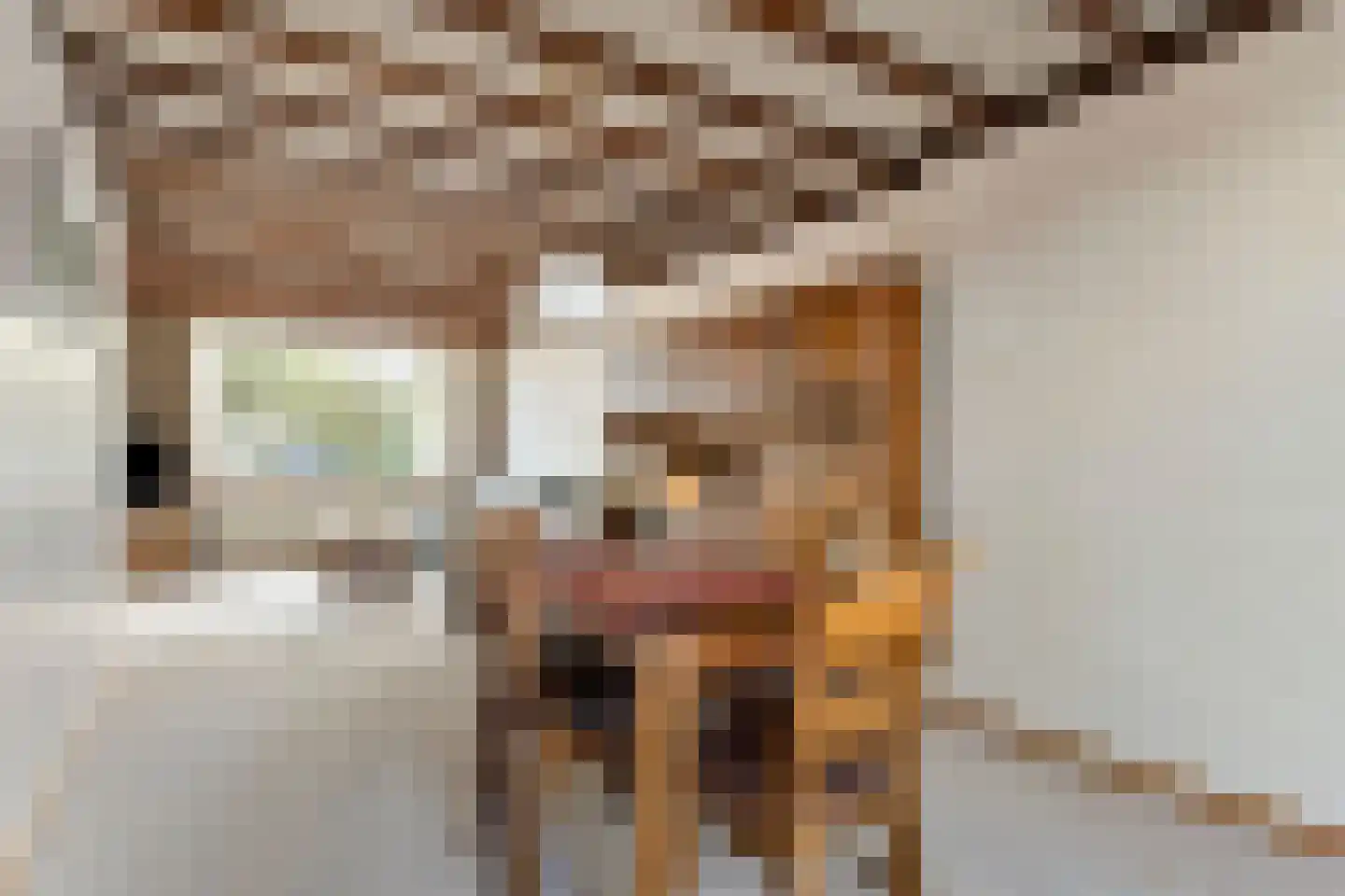 Plataanstraat 12 Beek thumbnail 4
