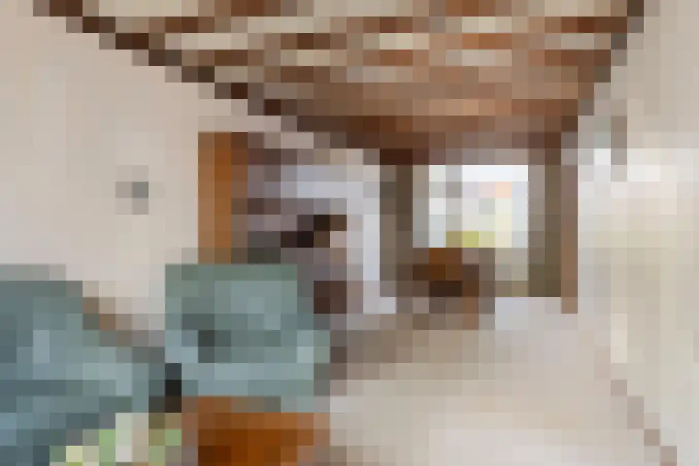 Plataanstraat 12 Beek thumbnail 7