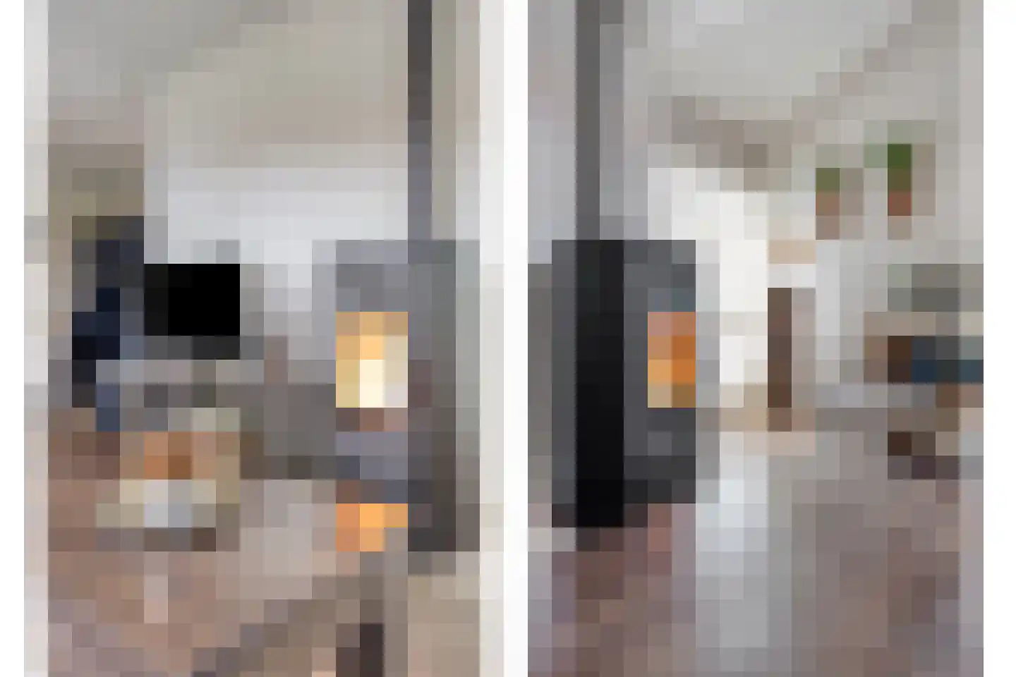 Plataanstraat 12 Made thumbnail 13