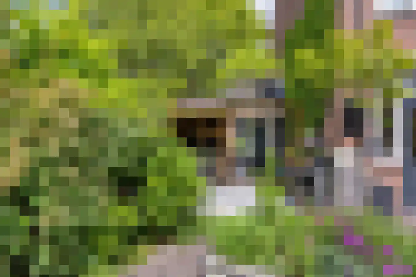 Plataanstraat 12 Made thumbnail 46