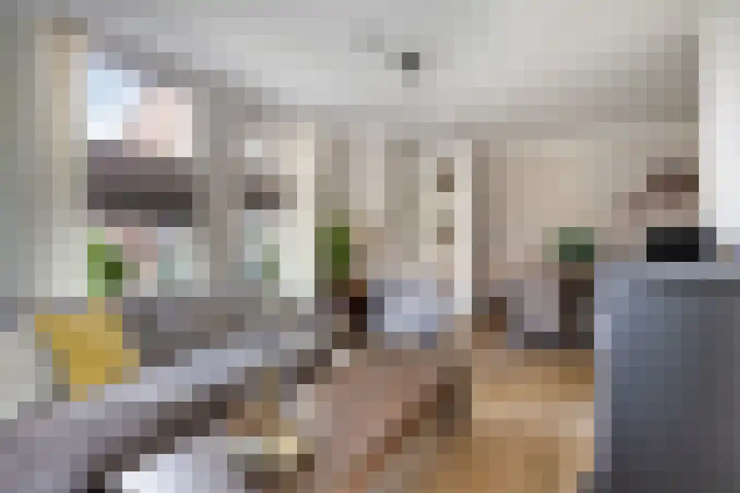 Plataanstraat 12 Made thumbnail 9