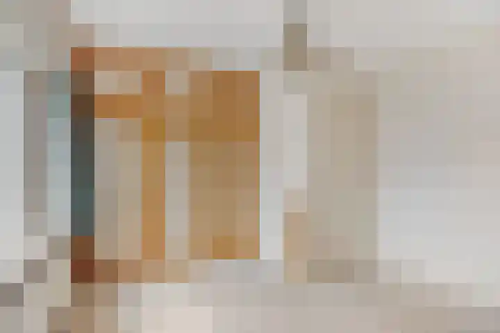 Plataanstraat 12 Sas van Gent thumbnail 20