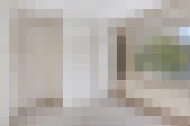Plataanstraat 12 Sas van Gent thumbnail 22