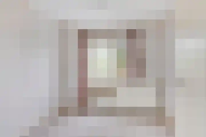 Plataanstraat 12 Sas van Gent thumbnail 23