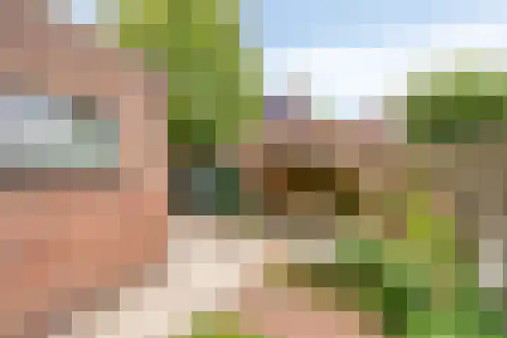 Plataanstraat 12 Sas van Gent thumbnail 26