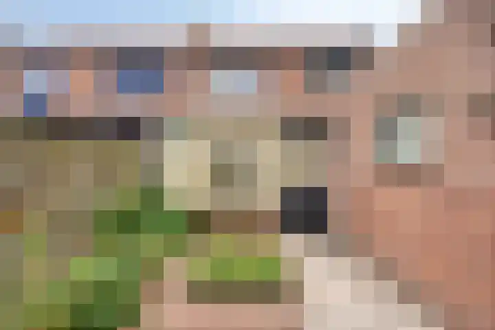 Plataanstraat 12 Sas van Gent thumbnail 27