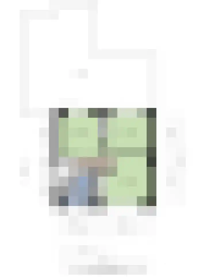 Plataanstraat 12 Sas van Gent thumbnail 34