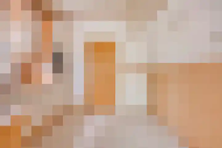Plataanstraat 12 Sas van Gent thumbnail 9