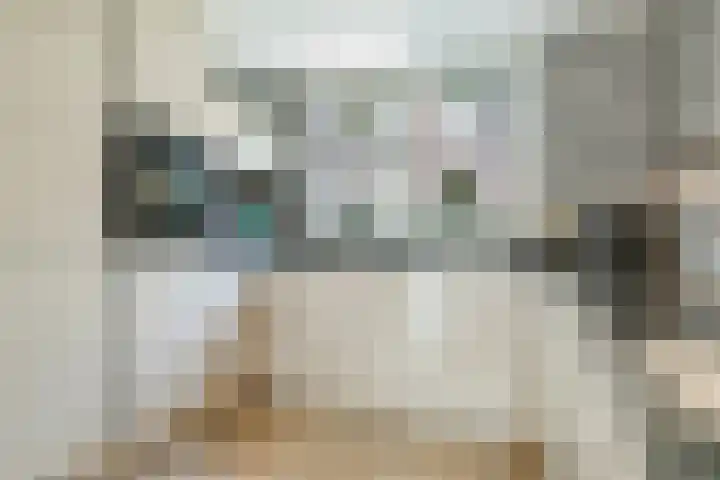 Plataanstraat 12 Spijkenisse thumbnail 11