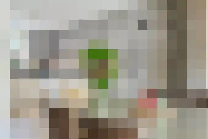 Plataanstraat 12 Spijkenisse thumbnail 13