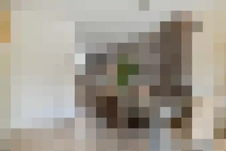 Plataanstraat 12 Spijkenisse thumbnail 14