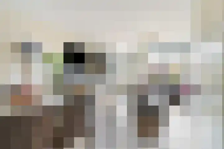 Plataanstraat 12 Spijkenisse thumbnail 15