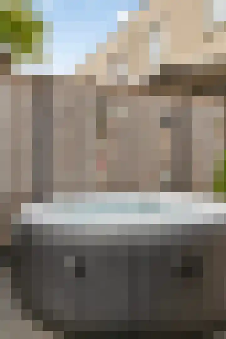 Plataanstraat 12 Spijkenisse thumbnail 20