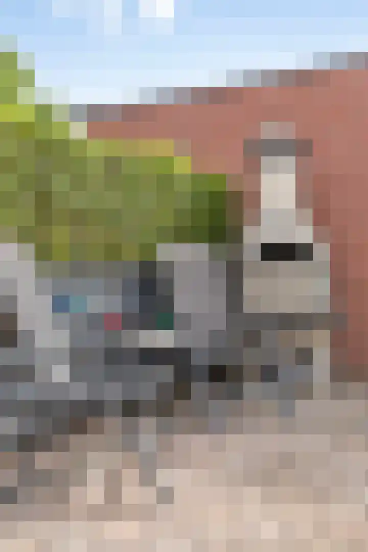 Plataanstraat 12 Spijkenisse thumbnail 21