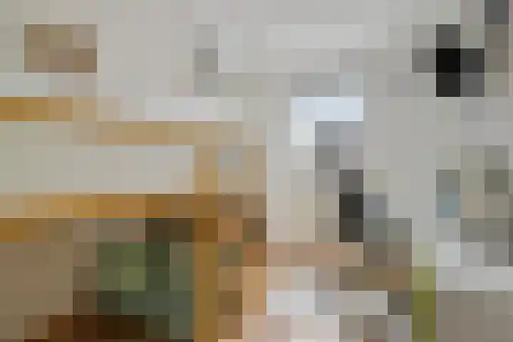 Plataanstraat 12 Spijkenisse thumbnail 30