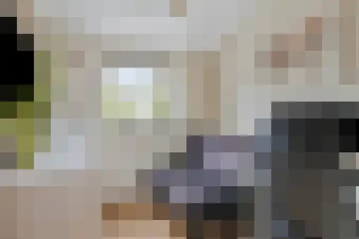 Plataanstraat 12 Spijkenisse thumbnail 32