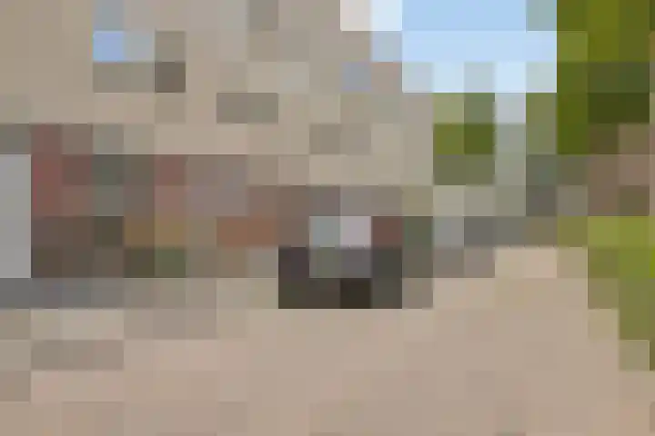 Plataanstraat 12 Spijkenisse thumbnail 39