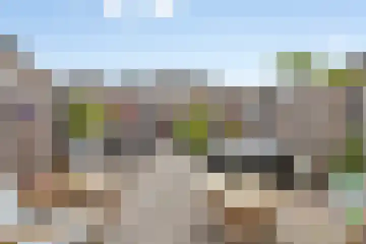 Plataanstraat 12 Spijkenisse thumbnail 4