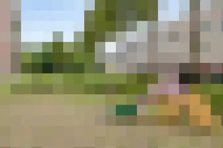 Plataanstraat 12 Spijkenisse thumbnail 40