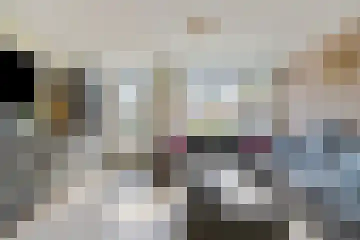 Plataanstraat 12 Spijkenisse thumbnail 8
